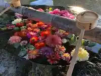 春日神社の手水舎