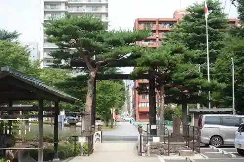 櫻岡大神宮の鳥居