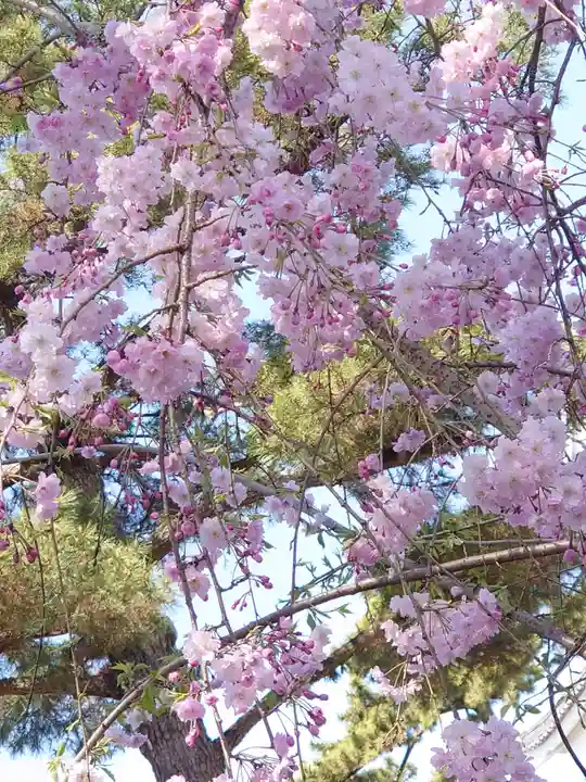 龍城神社の自然