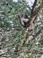 茂岩神社(北海道)