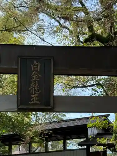 白金龍王社の{uncategorized: "未分類", other: "その他", undefined: "問題あり", building: "その他建物", grave: "お墓", sacred_gate: "鳥居", guardian: "狛犬", statue: "像", buddha: "仏像", history: "歴史", nature: "自然", garden: "庭園", animal: "動物", pagoda: "塔", temizu: "手水舎", mountain_gate: "山門・神門", sanctuary: "本殿・本堂", subordinate: "末社・摂社", art: "芸術", scenery: "景色", jizo: "地蔵", ema: "絵馬", goshuin: "御朱印", omikuji: "おみくじ", items: "授与品その他", amulet: "お守り", goshuincho: "御朱印帳", eats: "食事", festival: "お祭り", votive_dance: "神楽", shichigosan: "七五三参", wedding: "結婚式", experience: "体験その他", initially: "初詣", around: "周辺", anti_infection: "感染症対策"}