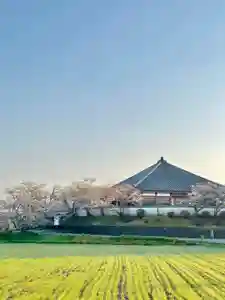 浄土寺の本殿・本堂(2023年03月28日(火) 08時02分27秒投稿)