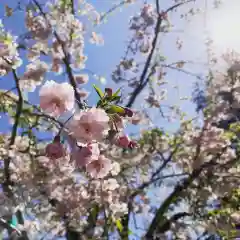 豊景神社の自然