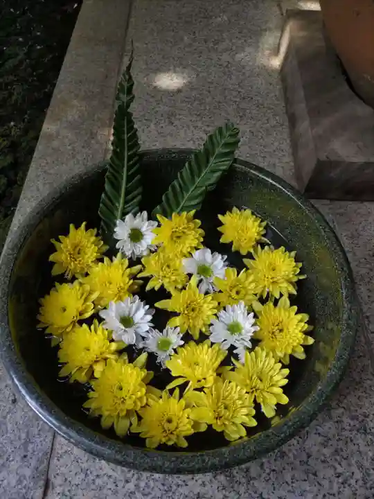 普賢寺の手水舎