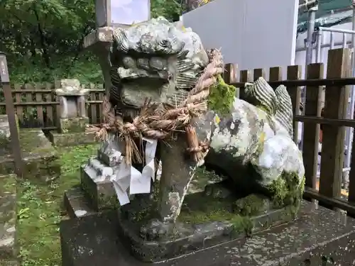 武雄神社の狛犬