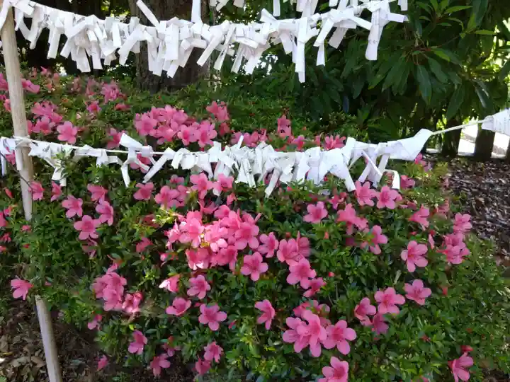 河内阿蘇神社(熊本県)