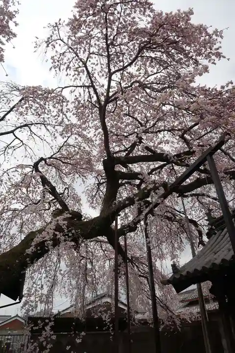 心念寺(三重県)