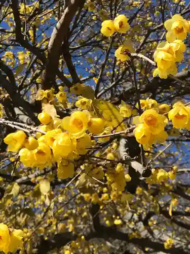 横浜　西方寺の自然