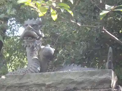 田無神社の狛犬
