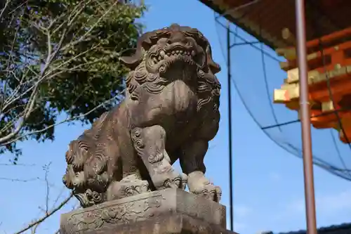 八坂神社(祇園さん)の狛犬