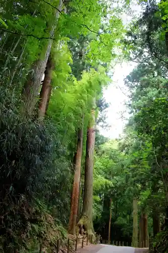 中尊寺の自然