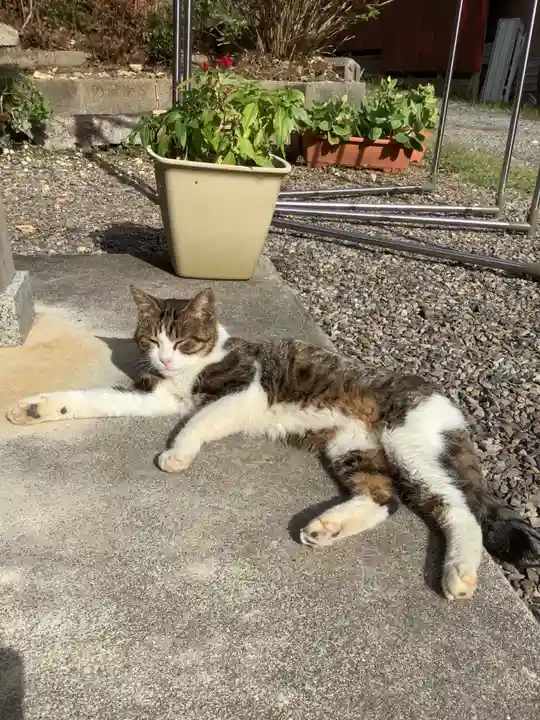 玉野御嶽神社の動物