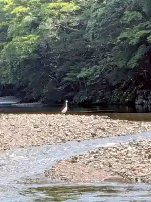 厚別神社(北海道)