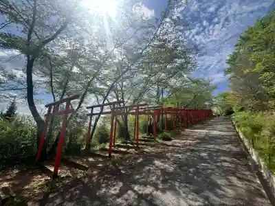 丸高稲荷神社の{uncategorized: "未分類", other: "その他", undefined: "問題あり", building: "その他建物", grave: "お墓", sacred_gate: "鳥居", guardian: "狛犬", statue: "像", buddha: "仏像", history: "歴史", nature: "自然", garden: "庭園", animal: "動物", pagoda: "塔", temizu: "手水舎", mountain_gate: "山門・神門", sanctuary: "本殿・本堂", subordinate: "末社・摂社", art: "芸術", scenery: "景色", jizo: "地蔵", ema: "絵馬", goshuin: "御朱印", omikuji: "おみくじ", items: "授与品その他", amulet: "お守り", goshuincho: "御朱印帳", eats: "食事", festival: "お祭り", votive_dance: "神楽", shichigosan: "七五三参", wedding: "結婚式", experience: "体験その他", initially: "初詣", around: "周辺", anti_infection: "感染症対策"}