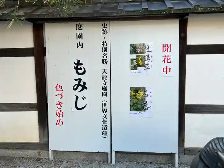 天龍寺(京都府)