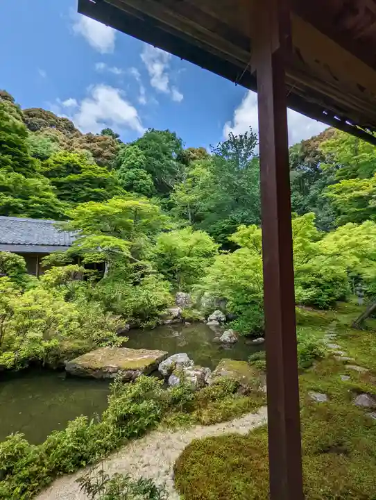 実相院門跡の庭園