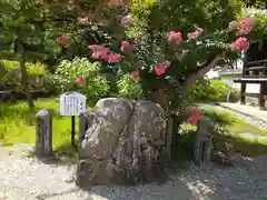 橘寺の庭園