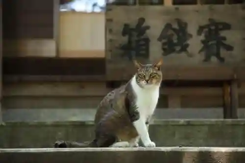 玉野御嶽神社の動物