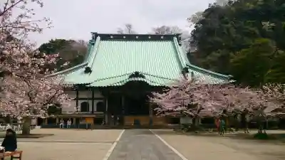 光明寺の{uncategorized: "未分類", other: "その他", undefined: "問題あり", building: "その他建物", grave: "お墓", sacred_gate: "鳥居", guardian: "狛犬", statue: "像", buddha: "仏像", history: "歴史", nature: "自然", garden: "庭園", animal: "動物", pagoda: "塔", temizu: "手水舎", mountain_gate: "山門・神門", sanctuary: "本殿・本堂", subordinate: "末社・摂社", art: "芸術", scenery: "景色", jizo: "地蔵", ema: "絵馬", goshuin: "御朱印", omikuji: "おみくじ", items: "授与品その他", amulet: "お守り", goshuincho: "御朱印帳", eats: "食事", festival: "お祭り", votive_dance: "神楽", shichigosan: "七五三参", wedding: "結婚式", experience: "体験その他", initially: "初詣", around: "周辺", anti_infection: "感染症対策"}