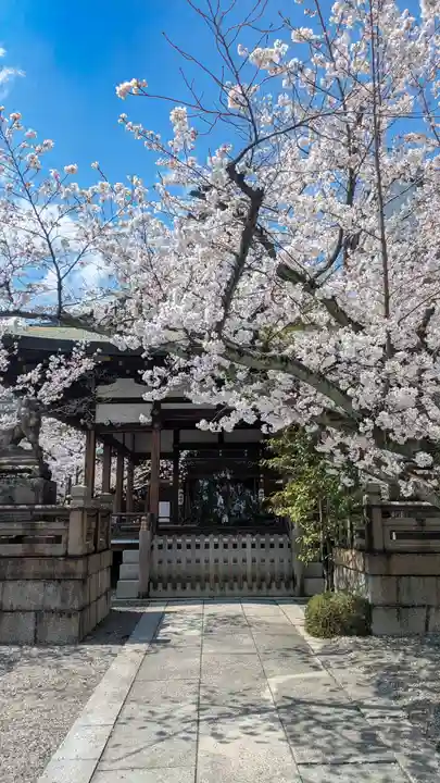 天孫神社(滋賀県)