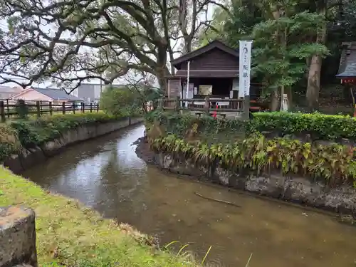 鹿児島神宮(鹿児島県)