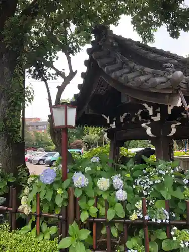 白山神社の手水舎