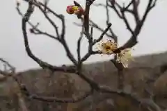 菅原天満宮（菅原神社）の建物その他