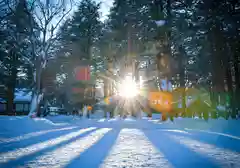 北海道神宮の建物その他