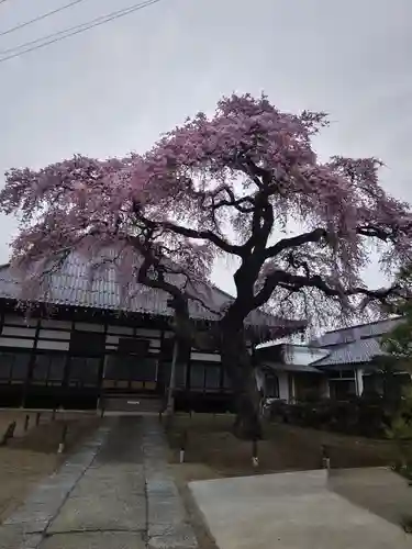 相応寺(福島県)