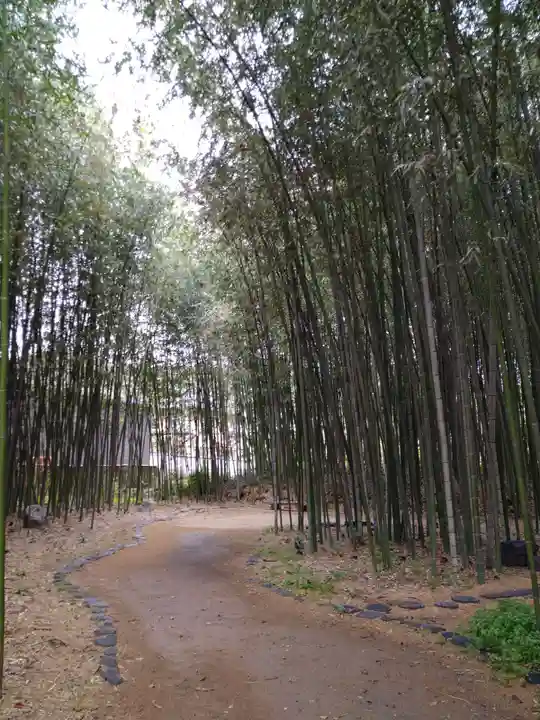 大覚寺(京都府)