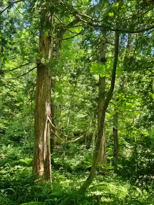 戸隠神社奥社(長野県)
