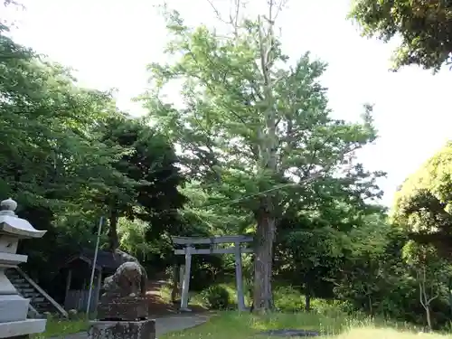 加茂廼神社の自然