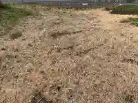 子安稲荷大明神の自然