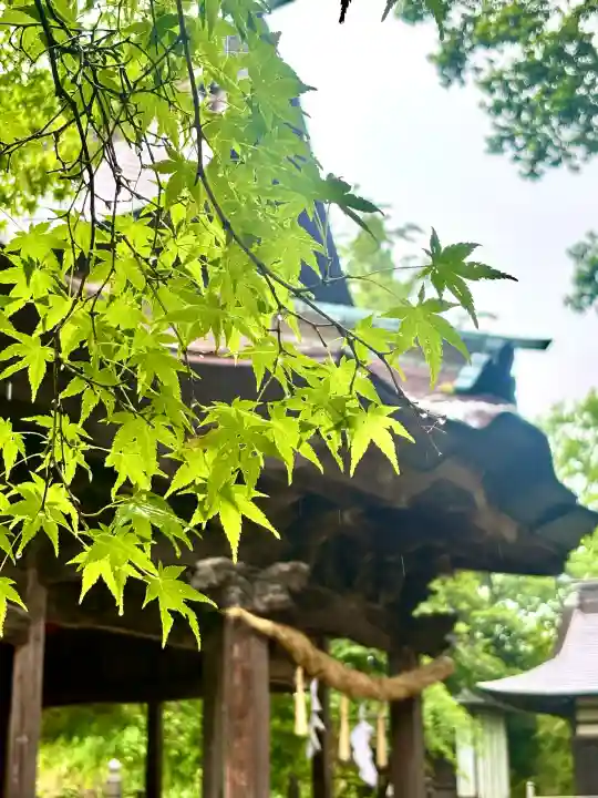 蚊里田八幡宮の{uncategorized: "未分類", other: "その他", undefined: "問題あり", building: "その他建物", grave: "お墓", sacred_gate: "鳥居", guardian: "狛犬", statue: "像", buddha: "仏像", history: "歴史", nature: "自然", garden: "庭園", animal: "動物", pagoda: "塔", temizu: "手水舎", mountain_gate: "山門・神門", sanctuary: "本殿・本堂", subordinate: "末社・摂社", art: "芸術", scenery: "景色", jizo: "地蔵", ema: "絵馬", goshuin: "御朱印", omikuji: "おみくじ", items: "授与品その他", amulet: "お守り", goshuincho: "御朱印帳", eats: "食事", festival: "お祭り", votive_dance: "神楽", shichigosan: "七五三参", wedding: "結婚式", experience: "体験その他", initially: "初詣", around: "周辺", anti_infection: "感染症対策"}