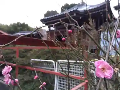 医王院(富山県)