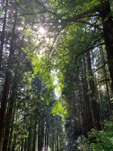 熊野神社の自然