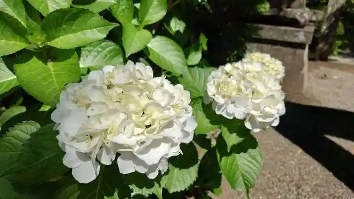 報徳二宮神社(神奈川県)