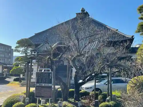金剛寺(東京都)