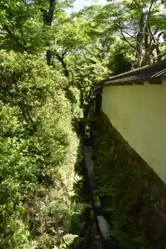 石山寺の自然