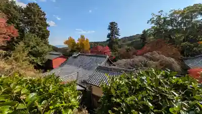 十輪寺(京都府)