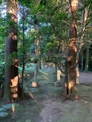 諏訪神社の鳥居