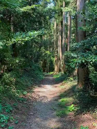 常陸二ノ宮　静神社の自然
