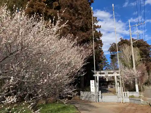 鷲神社(茨城県)