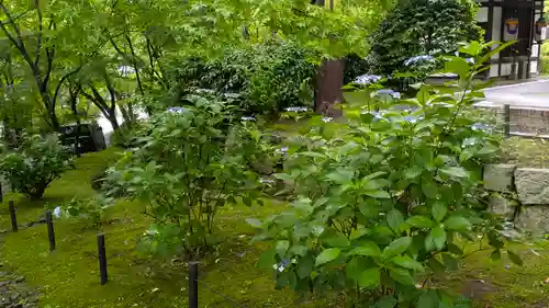 真正極楽寺（真如堂）(京都府)
