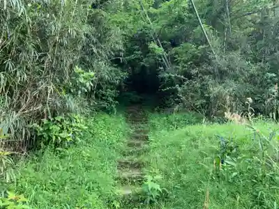 新宮神社の周辺