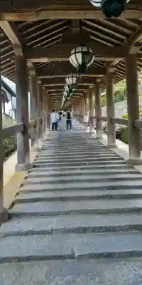 長谷寺の{uncategorized: "未分類", other: "その他", undefined: "問題あり", building: "その他建物", grave: "お墓", sacred_gate: "鳥居", guardian: "狛犬", statue: "像", buddha: "仏像", history: "歴史", nature: "自然", garden: "庭園", animal: "動物", pagoda: "塔", temizu: "手水舎", mountain_gate: "山門・神門", sanctuary: "本殿・本堂", subordinate: "末社・摂社", art: "芸術", scenery: "景色", jizo: "地蔵", ema: "絵馬", goshuin: "御朱印", omikuji: "おみくじ", items: "授与品その他", amulet: "お守り", goshuincho: "御朱印帳", eats: "食事", festival: "お祭り", votive_dance: "神楽", shichigosan: "七五三参", wedding: "結婚式", experience: "体験その他", initially: "初詣", around: "周辺", anti_infection: "感染症対策"}