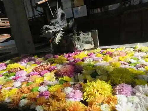 二本松神社(福島県)