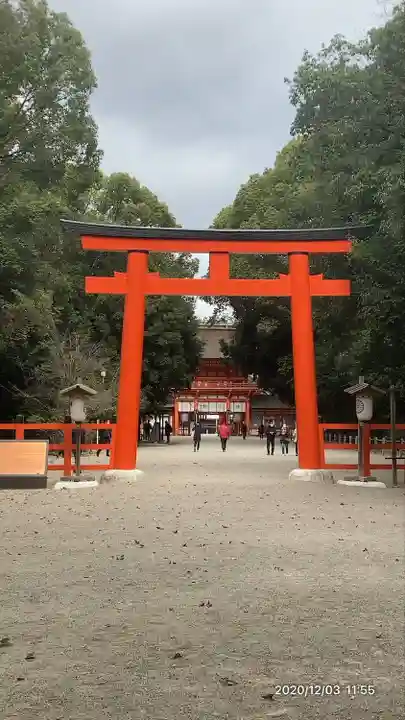 賀茂御祖神社(下鴨神社)(京都府)