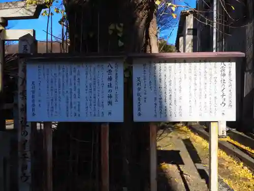八雲神社 (通五丁目)(栃木県)
