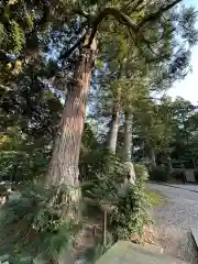 気多神社(富山県)